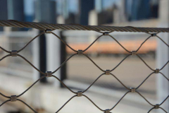 Pier 2 - brooklyn bridge park 4